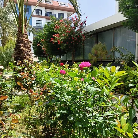 Graf Victor Apartment *